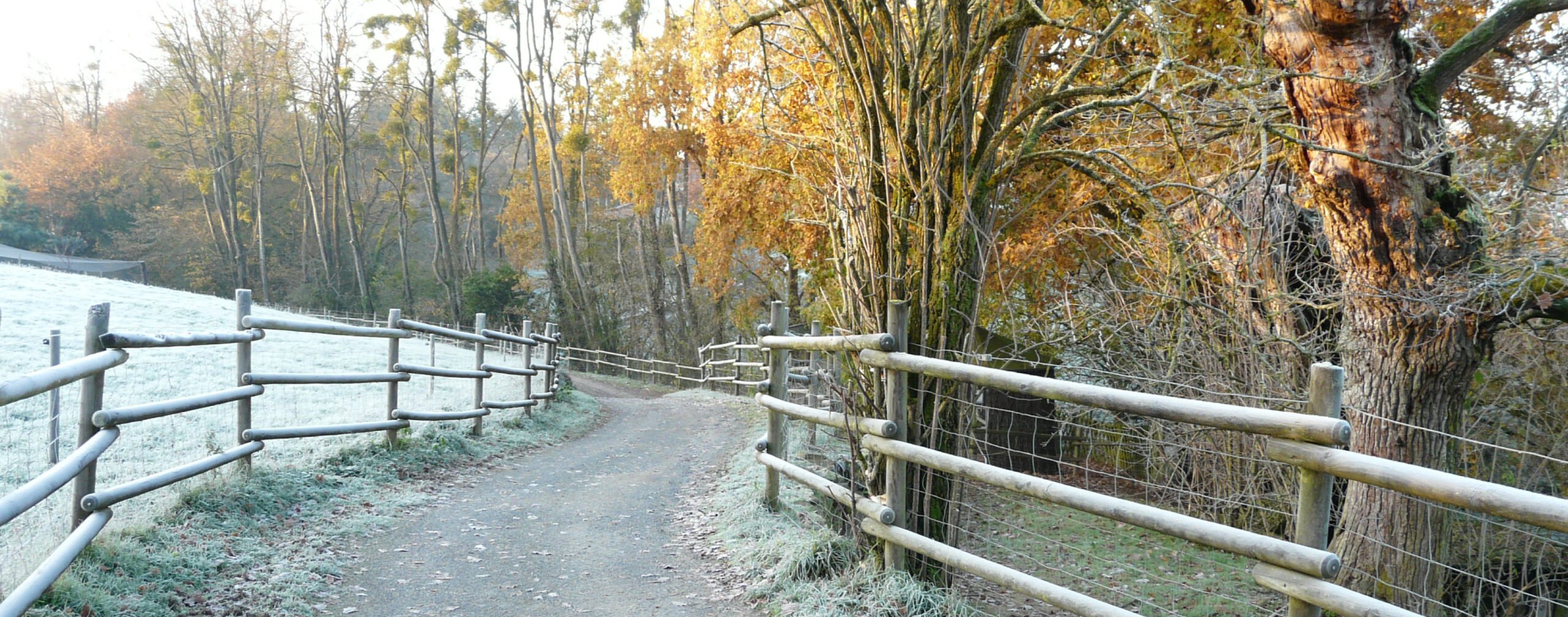 Header actu fermeture hivernale