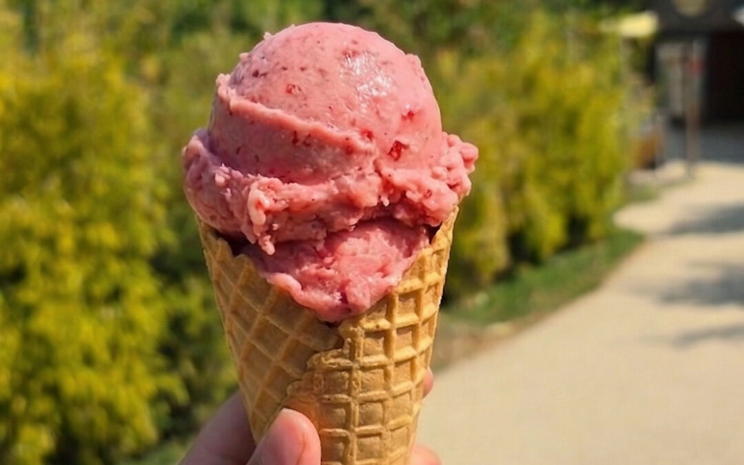 Dégustez Ma Très Bonne Glace artisanale à Natural&rsquo;Parc !