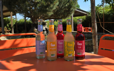 De nouvelles boissons à découvrir à Natural’Parc