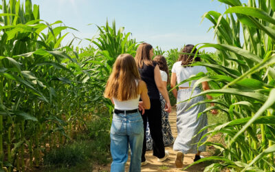 Le labyrinthe de maïs est de retour à Natural&rsquo;Parc !